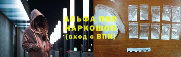 гашик Ростов