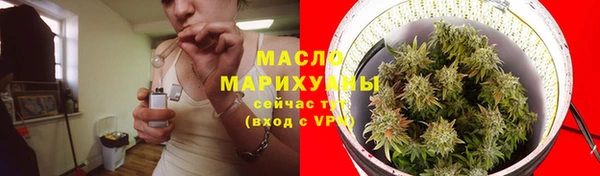 индика Зерноград