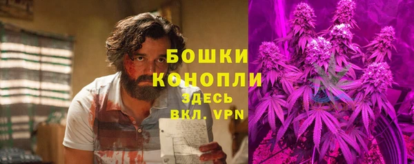 индика Зерноград