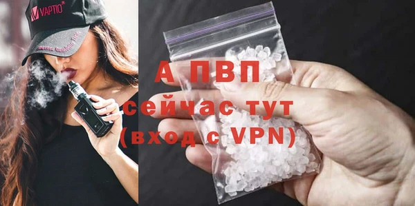 индика Зерноград