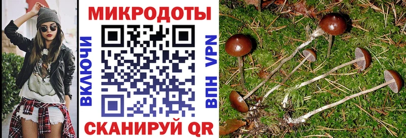 хочу наркоту  Теберда  hydra ссылка  это клад  Галлюциногенные грибы MAGIC MUSHROOMS 