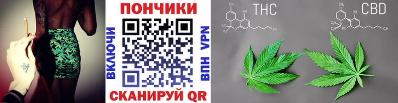 Бошки марихуана MAZAR  наркота  Теберда 